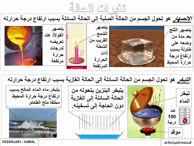 تلخيصات جميع دروس النشاط العلمي للمستوى الرابع من التعليم الإبتدائي