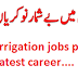 Latest jobs at Punjab Irrigation Department  new career 