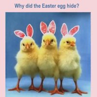 Easter Memes Images