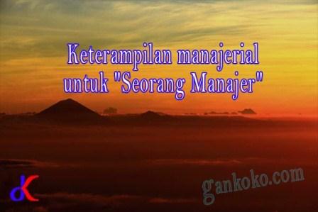 https://www.gankoko.com/2023/11/keterampilan-manajerial-untuk-quotseorang-manajerquot.html