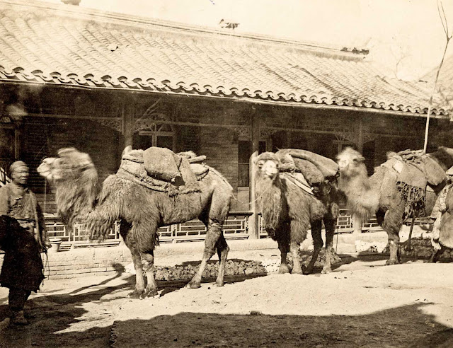 Fotografías antiguas de China (1870-1890)