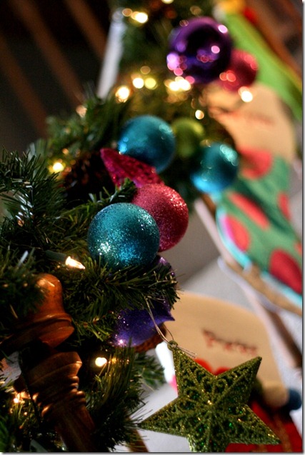 IMG_2250 IMG_2250