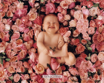 anne geddes wallpapers. anne geddes wallpapers.