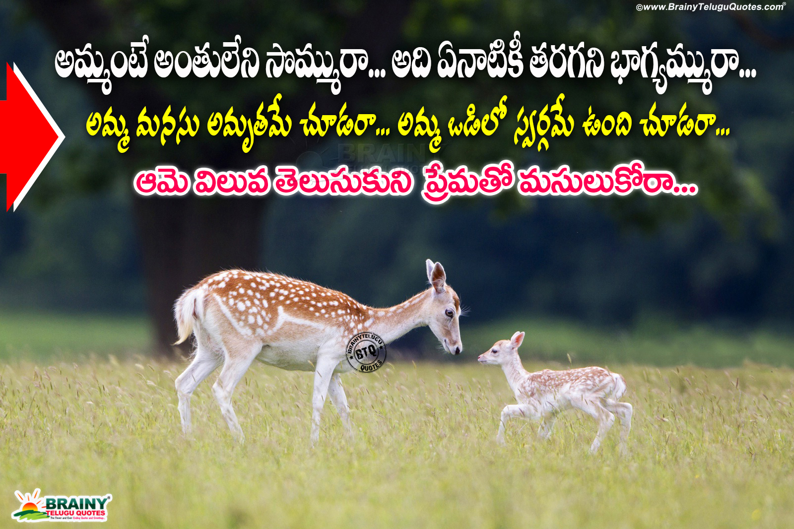 Best Telugu Mother Quotes Loving Mother Quotes With Hd Wallpapers