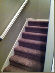 photo 2 (2)