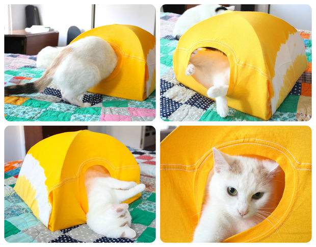 Langkah terakhir Membuat tenda untuk Kucing dari barang bekas