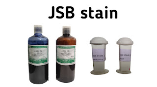 jsb-stain