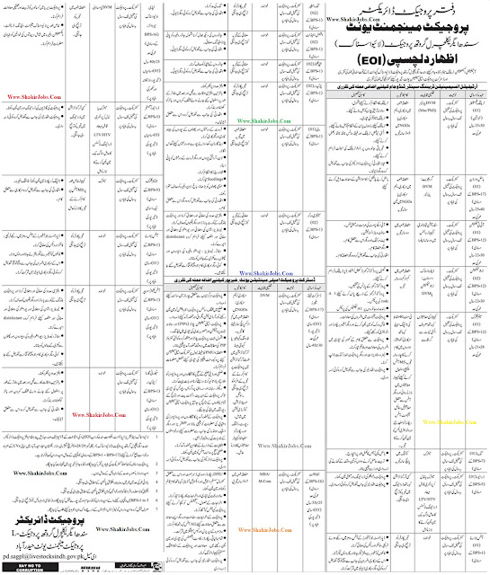 Jobs In Pakistan