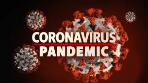 Scientists suspect coronavirus outbreak started in September 2019