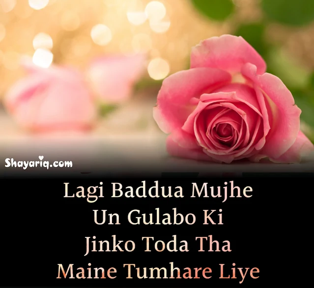 Love Shayari, sad shayari, photo shayari