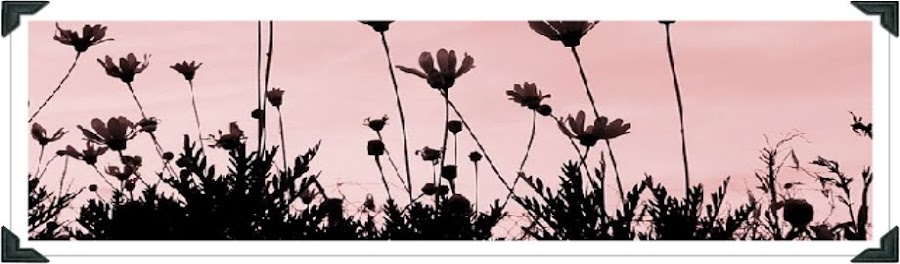 Nuestra Flora