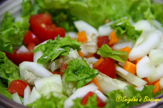 Crunchy Summer Salad