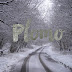 Plomo