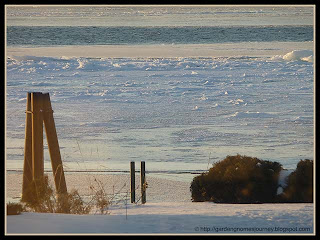 shimmering sheets of ice on the water