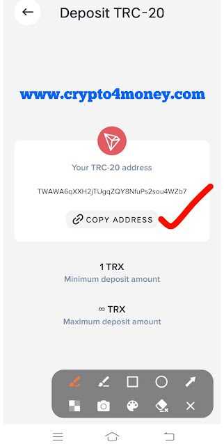 How to Transfer Money from Trust Wallet to Payeer Wallet - Trust Wallet to Payeer Transfer crypto