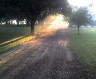 Morning Driveway