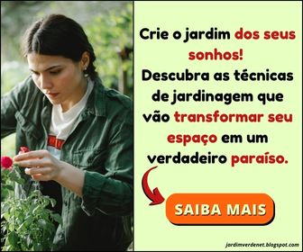 Aprenda como fazer um jardim dos sonhos em sua casa