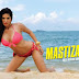 Mastizaade 1st 2nd 3rd 4th day overall total box office collection