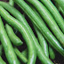 How to Grow Better Beans and Peas