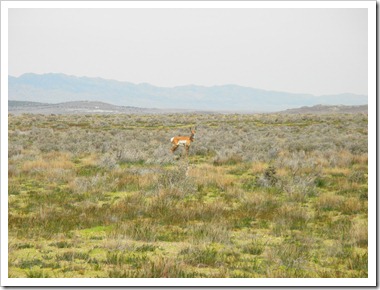 Mustang Adventure 5-6-11 014