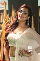 Prajna in Cream Choli transparent Saree Amazing Spicy Pics ~  Exclusive 075.JPG