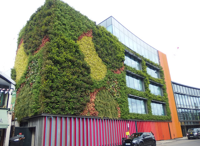 A closer look at the green wall - I love the rest of the colourful exterior too