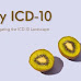 Decoding Obesity: Navigating the ICD-10 Landscape