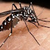 Piauí já registra 776 notificações de dengue em 2013