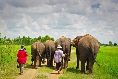 Surin - 20-26th Sep 2010-26