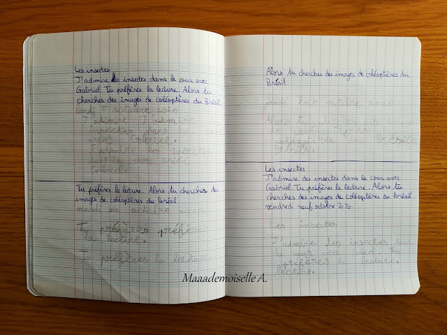 Carnet bord IEF # 19 : La dictée