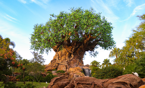 Tree of Life Park Icon Animal Kingdom WDW