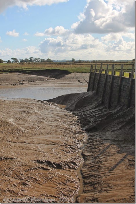 4-Wigtown-mud