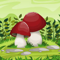 WOW Escape From Mushroom Garden
