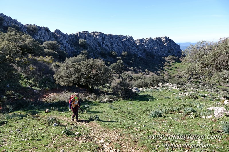 Caillo - Cintillo desde Benaocaz