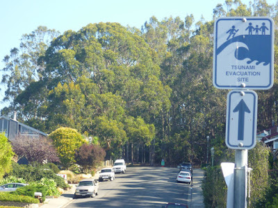 From Cabrillo Hwy to Rancho trailheads: Coral Reef Avenue