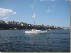 Sailboat on Water (Small)