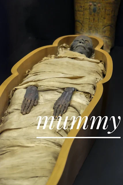 Ancient civilisation mummy