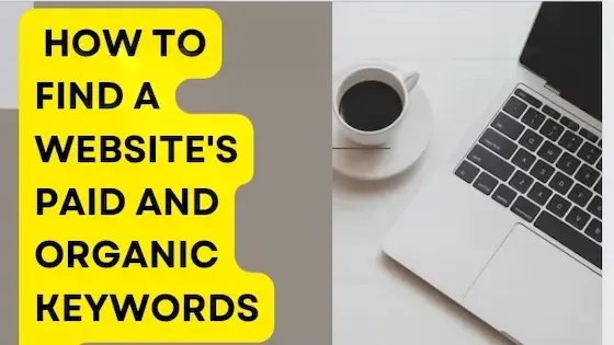 How to Find a Website's Paid and Organic Keywords?