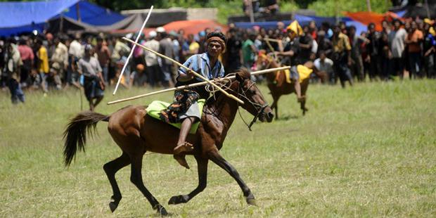 Pasola Festival: Horse Sumba, javelin, and Love Story