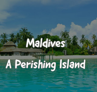 Maldives,travel,tourist,Maldive island