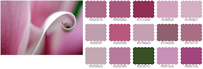 Screenshot of fd's flickr toys palette generator output