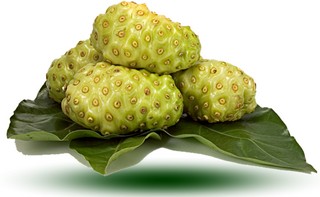 manfaat buah mengkudu