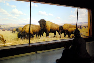 Image result for american museum of natural history DIORAMA