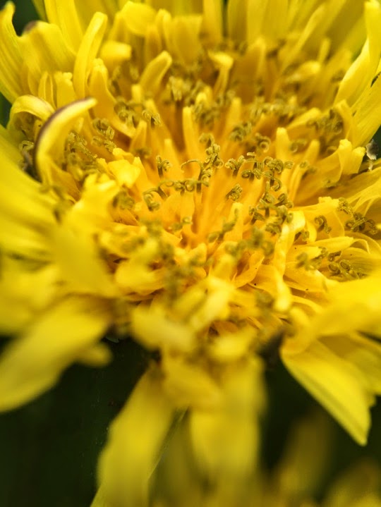 IMG_6129-2015-05-4-19-28.JPG