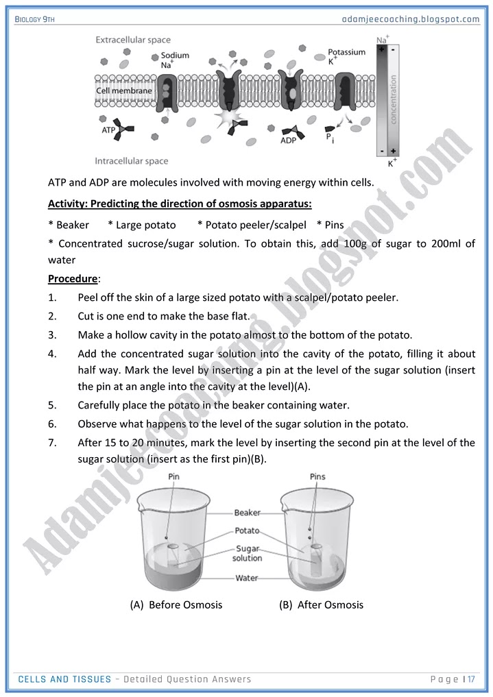 cells-and-tissues-detailed-question-answers-biology-9th