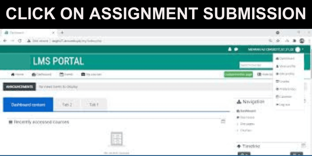 Locating the Assignment Submission Section