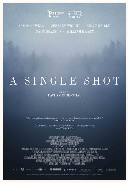 A Single Shot 2013 Film Completo In Italiano Gratis