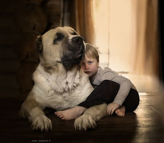 Nene acurrucado con su perro