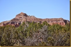 Palo Duro 4