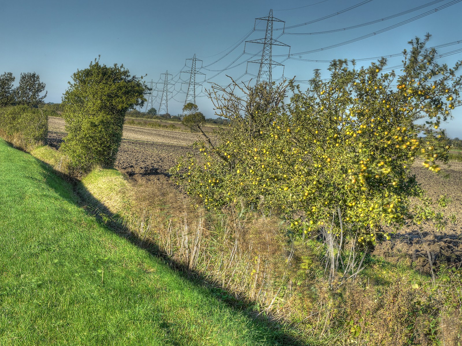 P1190495_496_497_498_499_500_501_tonemapped.jpg